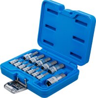 Bit-Einsatz-Satz | Antrieb Innenvierkant 6,3 mm (1/4") / 10 mm (3/8") / 12,5 mm (1/2") | Innensechskant 2 - 14 mm | 13-tlg.