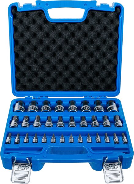 Bit-Einsatz-Satz | Antrieb Innenvierkant 6,3 mm (1/4") / 10 mm (3/8") / 12,5 mm (1/2") | Innensechskant 2 - 19 mm / 1/4 - 9/16" | Metrisch und Zollgrößen | 32-tlg.