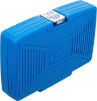 Ölwannen-Spezial-Einsatz-Satz | Antrieb Innenvierkant 10 mm (3/8") | 21-tlg.