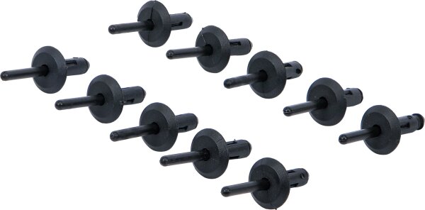 Kunststoff-Blindniete für Art. 8463 | 6,3 x 25,2 mm | 10-tlg.