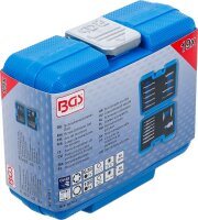 Schraubenausdreher-Satz | für Innensechskant 1,5 - 10 mm / T-Profil (für Torx) | T10 - T55 | 19-tlg.