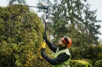 DEWALT Akku-Stabheckenschere, 18 Volt, Basiv.