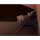 Eurotec EVOdry Clip gerade  VE:100