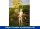 IDEAL Eichenwald Gartendusche Marlin