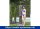 IDEAL Eichenwald Gartendusche Bahama | inkl. WPC Plattform