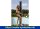 IDEAL Eichenwald Gartendusche Kuba | inkl. WPC Plattform
