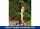 IDEAL Eichenwald Gartendusche Kuba | inkl. WPC Plattform