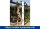 IDEAL Eichenwald Gartendusche Tobago SOLAR | ohne Plattform
