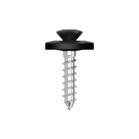 Eurotec Spenglerschrauben; Edelstahl A2; 2 tlg.; TX20 4,5 x 20 mm VE:500