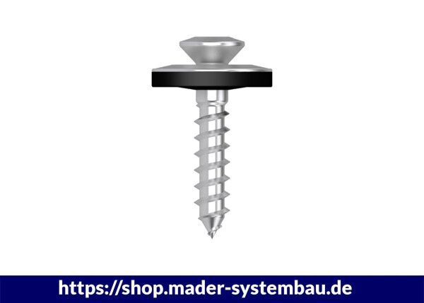 Eurotec Spenglerschrauben; Edelstahl A2; 2 tlg.; TX20 4,5 x 100 mm VE:200