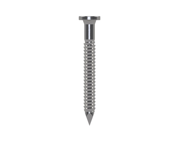 Eurotec Ankernägel mit Flachkopf; magaziniert; 34° kunststoffgebunden 4,0 x 40 mm VE:2000