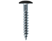 Eurotec Color-Fassadenschraube; Edelstahl A4; TX20; blank...