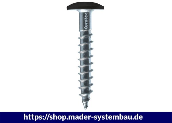 Eurotec Color-Fassadenschraube; Edelstahl A4; TX20; weiß RAL 9010 5,3 x 65 mm VE:100