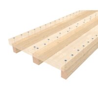 Eurotec Paneltwistec Tellerkopf AG Pressverleimung (Stronghead) TX40 8,0 x 200/120 mm VE:50