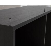 Eurotec Eco-Black-Tec; VG; verzinkt; TX20 4,0 x 25 mm VE:200