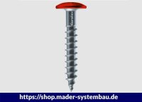 Eurotec Color-Fassadenschraube; Edelstahl A2; TX20; blank 4,8 x 38 mm VE:250