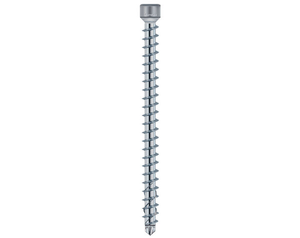 Eurotec KonstruX Zylinderkopf; Edelstahl A4; TX30 6,5 x 140 mm VE:100