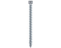 Eurotec KonstruX Zylinderkopf; Edelstahl A4; TX40 8,0 x...