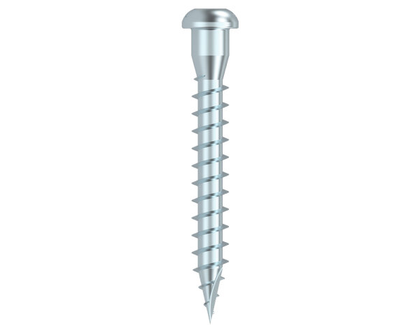 Eurotec Winkelbeschlagschraube; Edelstahl A4; TX20 5,0 x 50 mm VE:250