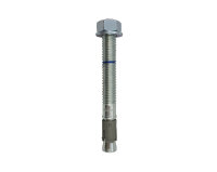 Eurotec Bolzenanker ECB-FZ-C3 16,0 x 250 mm verz. Bolzen...