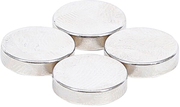 Magnet-Satz | extra stark | Ø 12 mm | 4-tlg.